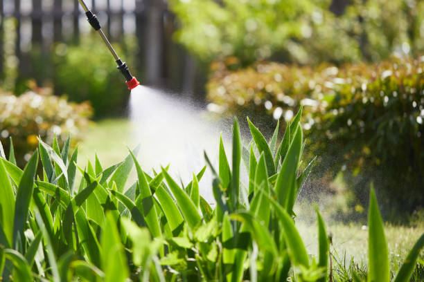 24/7 Emergency Mosquito Control experts in Manchester, TN