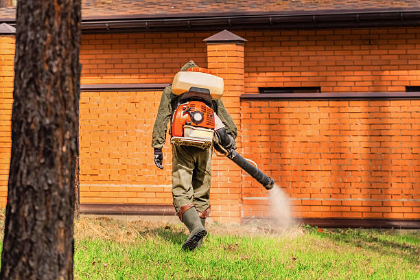 Top rated local Mosquito Control specialists in Manchester, TN